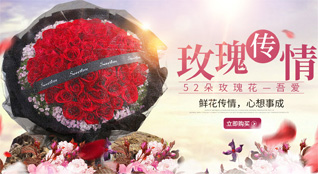 甘肃省庆阳环县鲜花速递